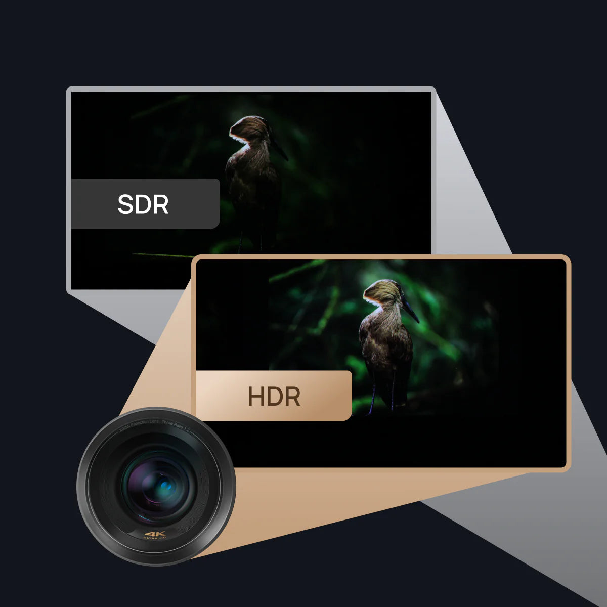 What Can HDR Do for Your Projector