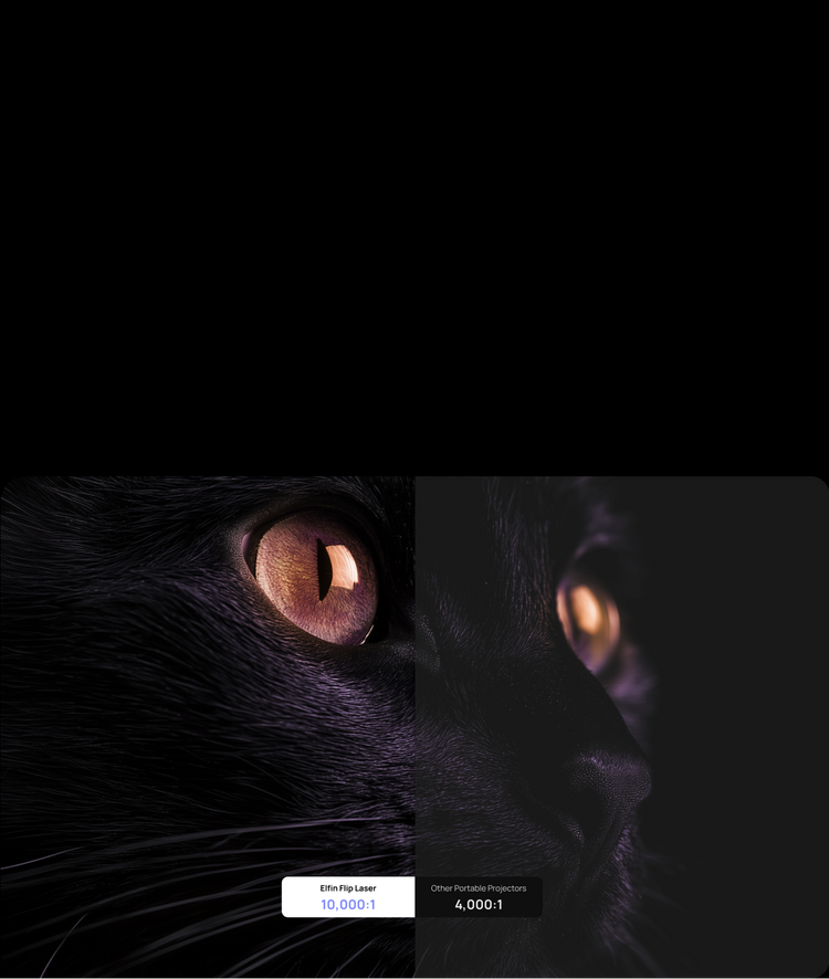 7._779d817b-85b5-47e0-8c3a-e9eec281853f.png